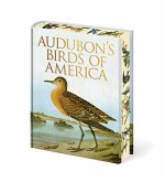Audubon's Birds of America
