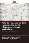 Rôle de l'adénosine dans la régulation de la réponse sécrétoire auriculaire Rôle de l'adénosine dans la régulation de la réponse sécrétoire auriculaire
