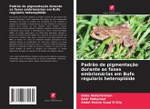 Padrão de pigmentação durante as fases embrionárias em Bufo regularis heteroplóide