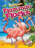 Flamingo Flocks Flamingo Flocks