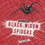 Black Widow Spiders Black Widow Spiders