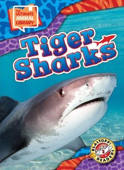 Tiger Sharks Cover Tiger Sharks