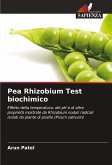 Pea Rhizobium Test biochimico Pea Rhizobium Test biochimico