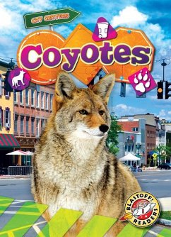 Coyotes - Schuh, Mari C