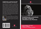 Imobilização e anestesia de leões asiáticos (Panthera Leo Persica)