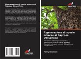 Rigenerazione di specie arboree di Fagraea Obtusifolia