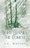Light Frames the Forest Light Frames the Forest