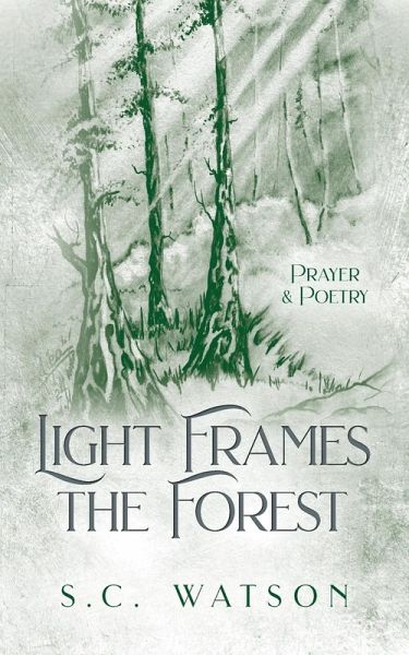 Light Frames the Forest Light Frames the Forest