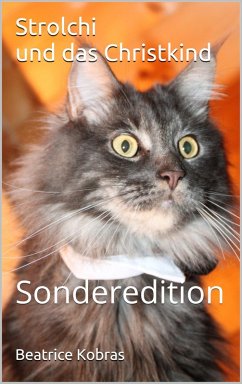 Cover Strolchi und das Christkind (eBook, ePUB)