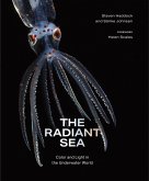 The Radiant Sea The Radiant Sea