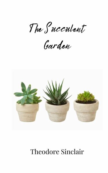 The Succulent Garden