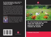 As microempresas como meio de redução da pobreza urbana na cidade de Asella
