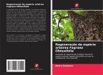 Regeneração da espécie arbórea Fagraea Obtusifolia