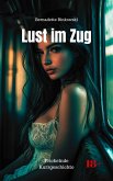 Lust im Zug (eBook, ePUB) Lust im Zug (eBook, ePUB)