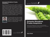 Guisante Rhizobium Prueba bioquímica