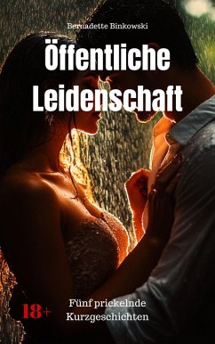 Öffentliche Leidenschaft (eBook, ePUB) - Binkowski, Bernadette