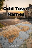 Odd Town Names (eBook, ePUB)