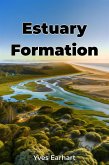 Estuary Formation (eBook, ePUB)