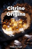 Citrine Origins (eBook, ePUB)