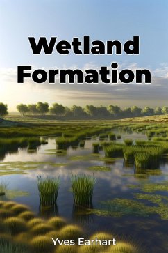 Wetland Formation (eBook, ePUB) - Earhart, Yves