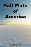 Salt Flats of America (eBook, ePUB)