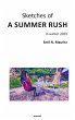 Sketches of a summer rush (eBook, ePUB) - Bild 1