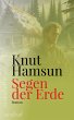 Segen der Erde (eBook, ePUB) - Bild 1