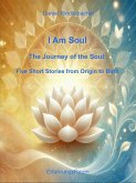 I Am Soul (eBook, ePUB)
