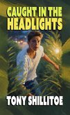 Caught in the Headlights (eBook, ePUB)