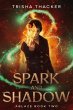 Spark and Shadow (Ablaze, #2) (eBook,... - Bild 1