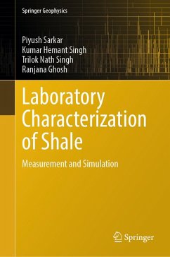 Cover Laboratory Characterization of Shale (eBook, PDF)