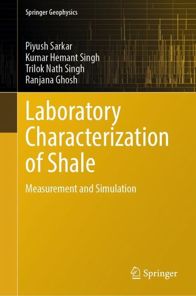 Laboratory Characterization of Shale (eBook, PDF)