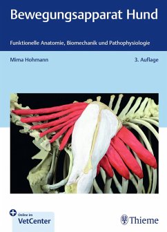 Cover Bewegungsapparat Hund (eBook, PDF)