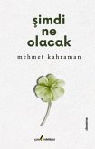 Simdi Ne Olacak Simdi Ne Olacak