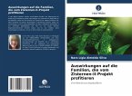 Auswirkungen auf die Familien, die vom Zisternen-II-Projekt profitieren