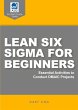 Lean Six Sigma for Beginners - Bild 1