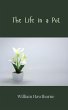 The Life in a Pot - Bild 1
