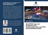 Durchführung von Erodieren mit Kupferelektrode und P20-Kunststoffformstahl Durchführung von Erodieren mit Kupferelektrode und P20-Kunststoffformstahl