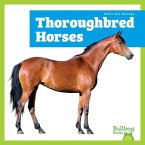 Thoroughbred Horses Thoroughbred Horses