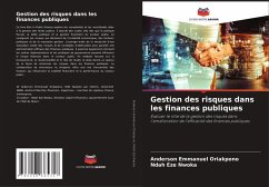 Cover Gestion des risques dans les finances publiques