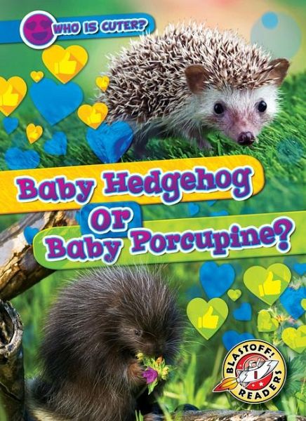 Baby Hedgehog or Baby Porcupine? Baby Hedgehog or Baby Porcupine?