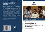 Überdenken des Bildungssystems in Schwarzafrika im Zeitalter des Aufschwungs Überdenken des Bildungssystems in Schwarzafrika im Zeitalter des Aufschwungs