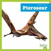 Pterosaur Pterosaur