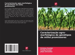 Cover Caracterização agro-morfológica de genótipos de milho promissores