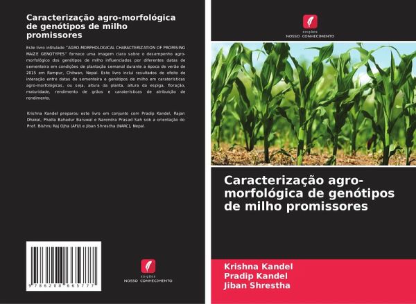 Caracterização agro-morfológica de genótipos de milho promissores