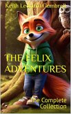 The Felix Adventures (eBook, ePUB)