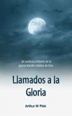Llamados a la Gloria: Un análisis profundo de la gracia transformadora de Dios (eBook, ePUB) Llamados a la Gloria: Un análisis profundo de la gracia transformadora de Dios (eBook, ePUB)