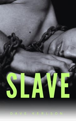 Cover Slave (eBook, ePUB)
