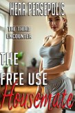 The Free Use Housemate: The Third Encounter (The Free Use Series, #3) (eBook, ePUB) The Free Use Housemate: The Third Encounter (The Free Use Series, #3) (eBook, ePUB)