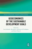 Geoeconomics of the Sustainable Development Goals (eBook, PDF)